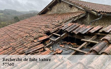 recherche-de-fuite-toiture