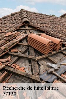 recherche-de-fuite-toiture