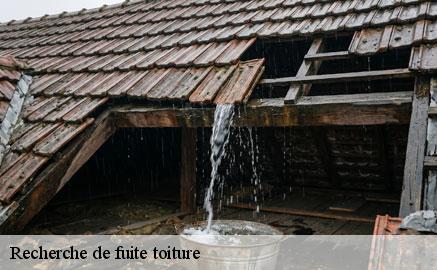 recherche-de-fuite-toiture
