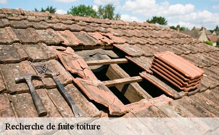 recherche-de-fuite-toiture
