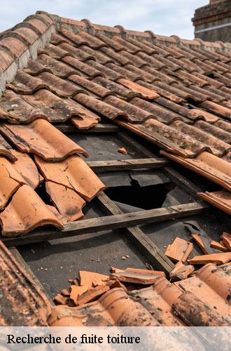 recherche-de-fuite-toiture