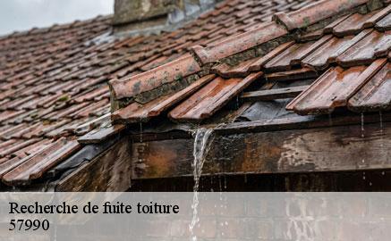 recherche-de-fuite-toiture