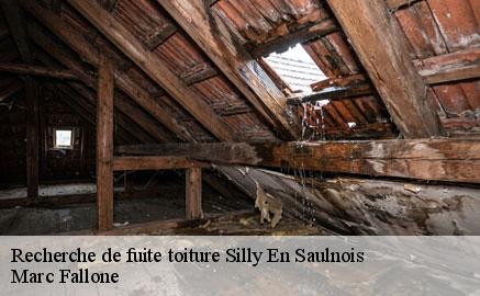 recherche-de-fuite-toiture