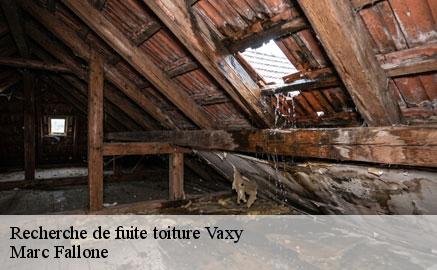 recherche-de-fuite-toiture
