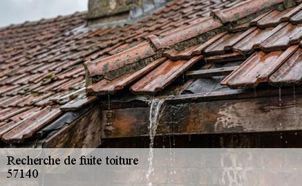 recherche-de-fuite-toiture