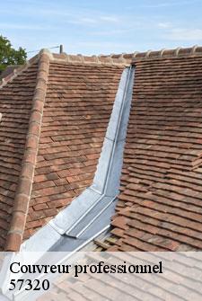 couvreur-professionnel