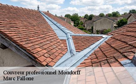 couvreur-professionnel