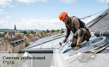 couvreur-professionnel
