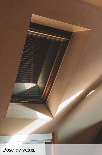 pose-de-velux