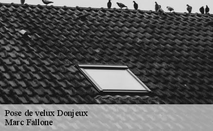 pose-de-velux