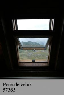 pose-de-velux