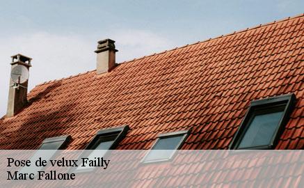 pose-de-velux