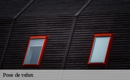 pose-de-velux