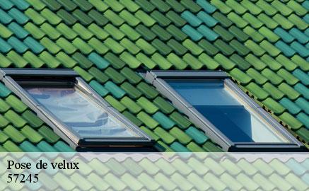 pose-de-velux