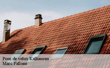 pose-de-velux