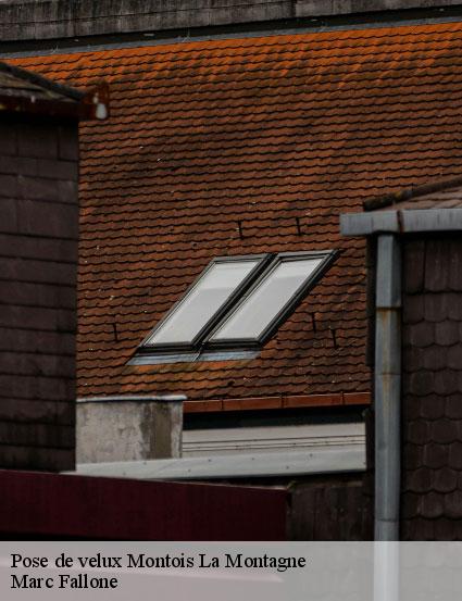 pose-de-velux