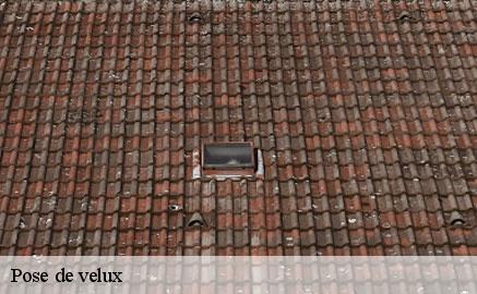 pose-de-velux