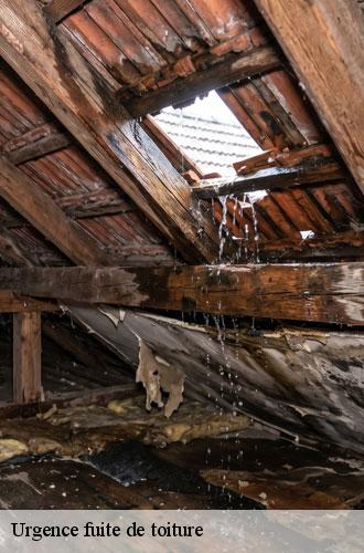 urgence-fuite-de-toiture