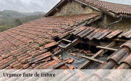 urgence-fuite-de-toiture
