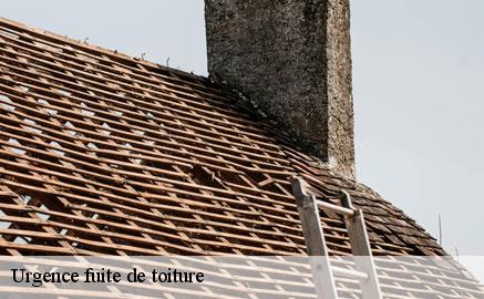 urgence-fuite-de-toiture