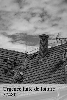 urgence-fuite-de-toiture