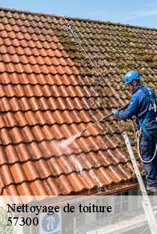 nettoyage-de-toiture