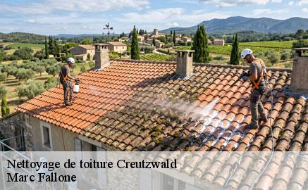 nettoyage-de-toiture