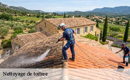 nettoyage-de-toiture