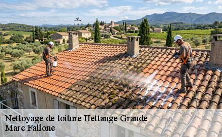 nettoyage-de-toiture