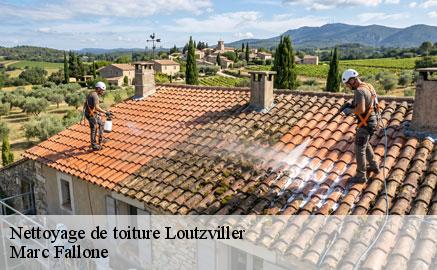 nettoyage-de-toiture