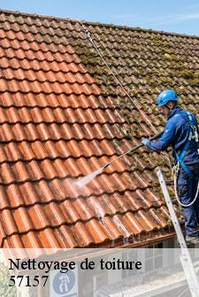 nettoyage-de-toiture