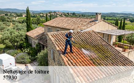 nettoyage-de-toiture