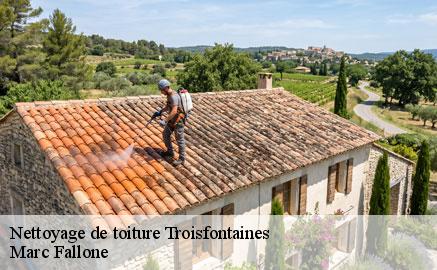 nettoyage-de-toiture