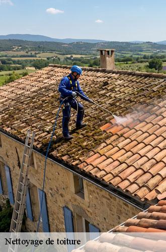 nettoyage-de-toiture