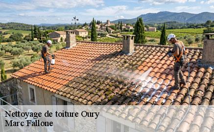 nettoyage-de-toiture