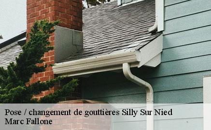 pose-changement-de-gouttieres