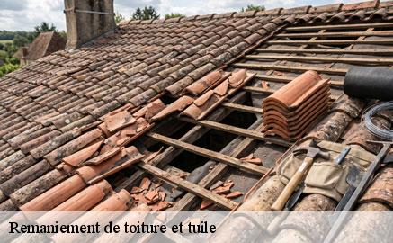 remaniement-de-toiture-et-tuile