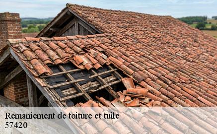 remaniement-de-toiture-et-tuile