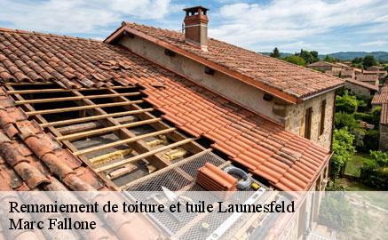 remaniement-de-toiture-et-tuile