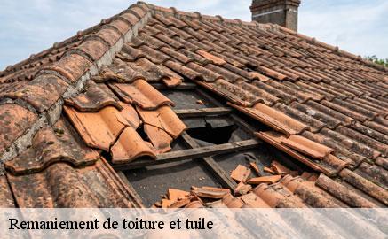 remaniement-de-toiture-et-tuile