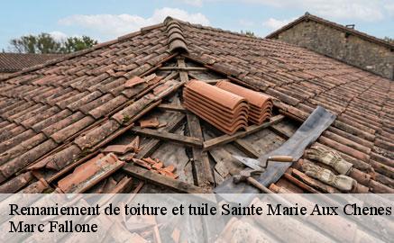 remaniement-de-toiture-et-tuile
