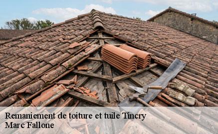 remaniement-de-toiture-et-tuile