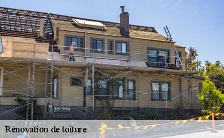 renovation-de-toiture