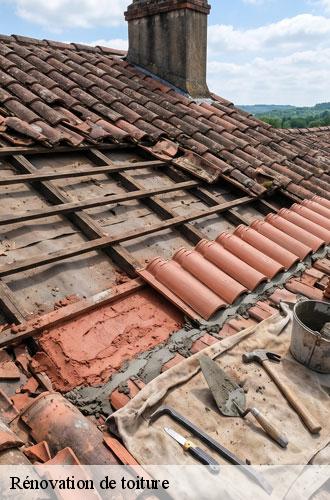 renovation-de-toiture