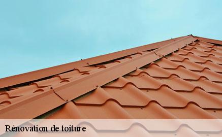 renovation-de-toiture