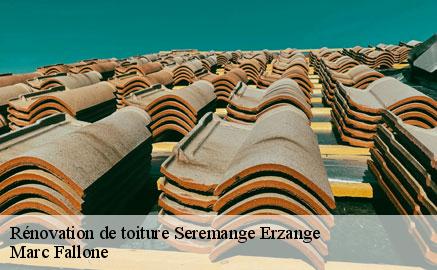 renovation-de-toiture