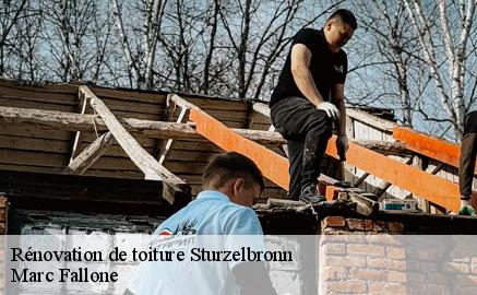 renovation-de-toiture